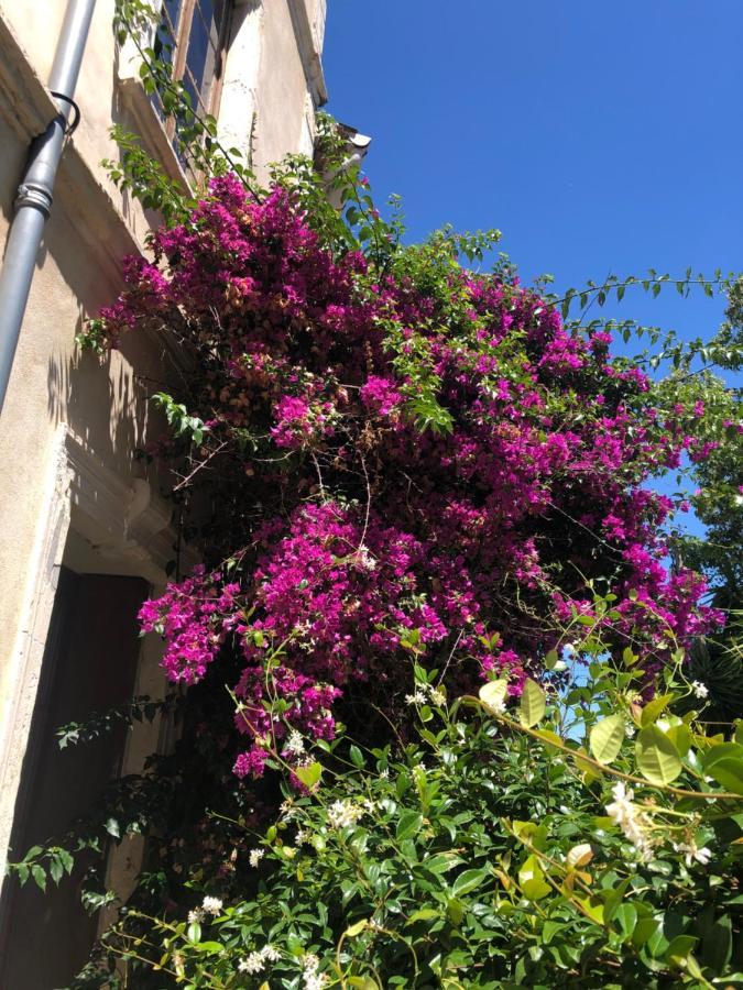 Bed and Breakfast L' Ilot Des Iles Cuxac-dʼAude Esterno foto